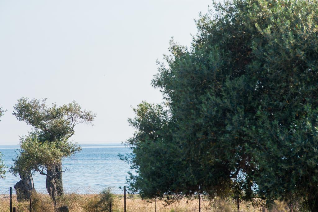 Terra Di Olive Daire Potos Dış mekan fotoğraf